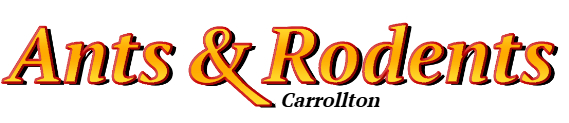 Carrollton Ant Exterminator & Rodent Control Company Logo